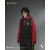 INART - Harry Potter and the Goblet of Fire - Harry Potter 1/6 Scale Collectible Figure