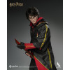 INART - Harry Potter and the Goblet of Fire - Harry Potter 1/6 Scale Collectible Figure