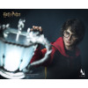 INART - Harry Potter and the Goblet of Fire - Harry Potter 1/6 Scale Collectible Figure