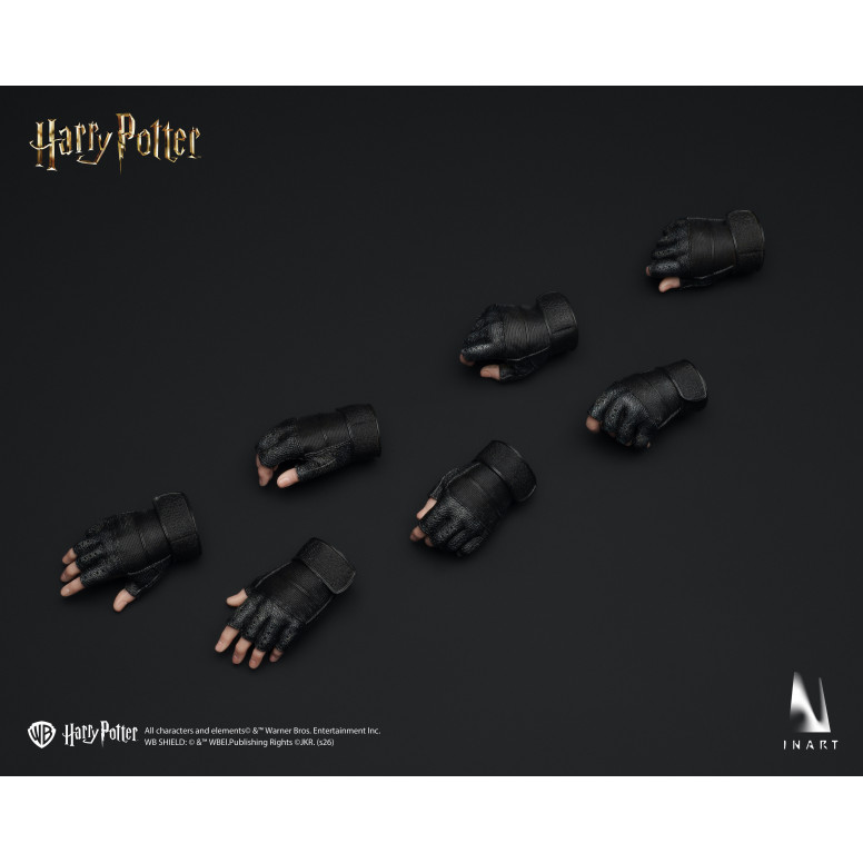 INART - Harry Potter and the Goblet of Fire - Harry Potter 1/6 Scale Collectible Figure