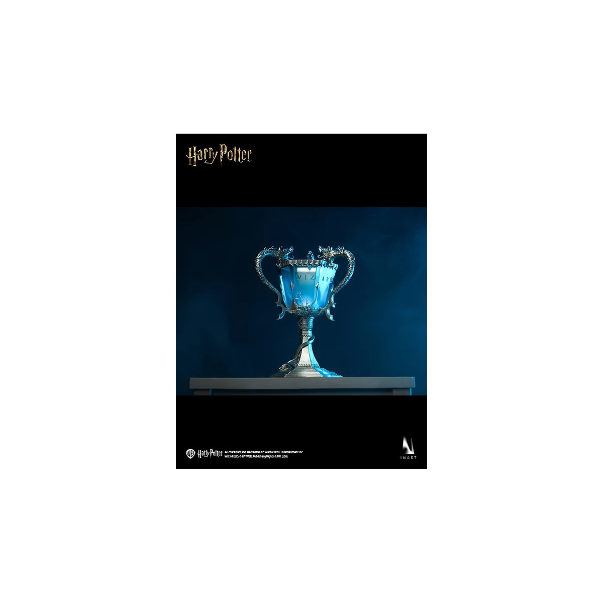 INART - Harry Potter and the Goblet of Fire - Harry Potter 1/6 Scale Collectible Figure