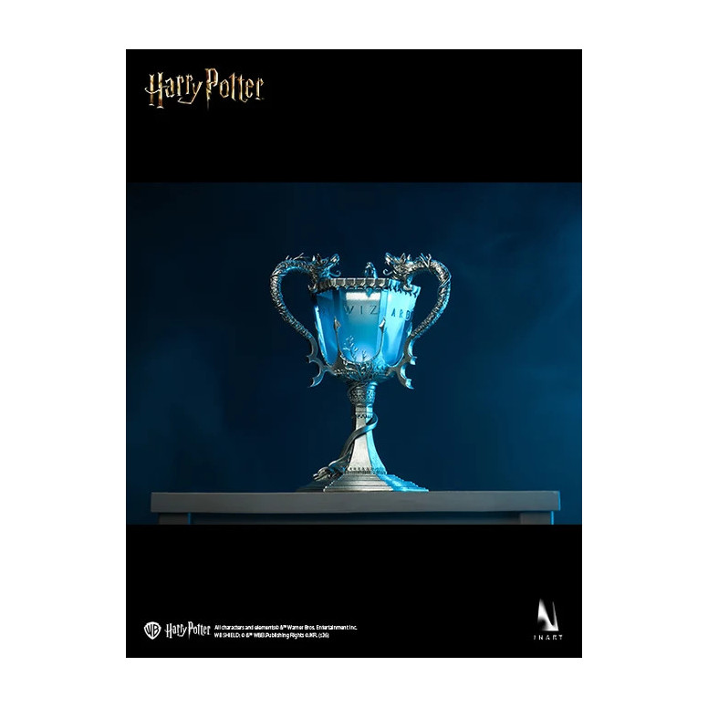 INART - Harry Potter and the Goblet of Fire - Harry Potter 1/6 Scale Collectible Figure