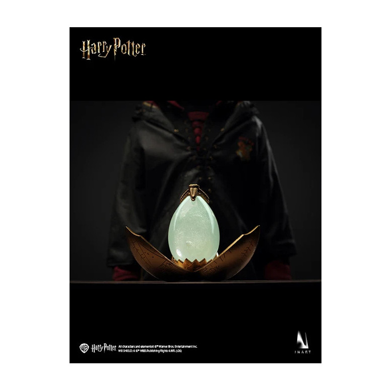 INART - Harry Potter and the Goblet of Fire - Harry Potter 1/6 Scale Collectible Figure