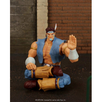 Jada Toys - T.HAWK 1/12 - Ultra- Street Fighter II: The Final Challengers - Series 5