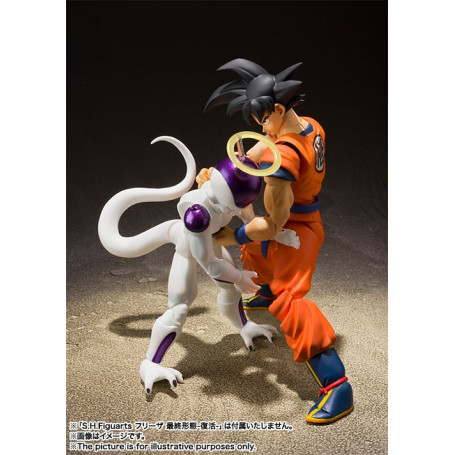 Bandai Dragon Ball Z Shenron SH FIguarts