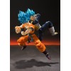 Bandai Dragon Ball Z Shenron SH FIguarts
