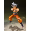 Bandai Dragon Ball Z Shenron SH FIguarts