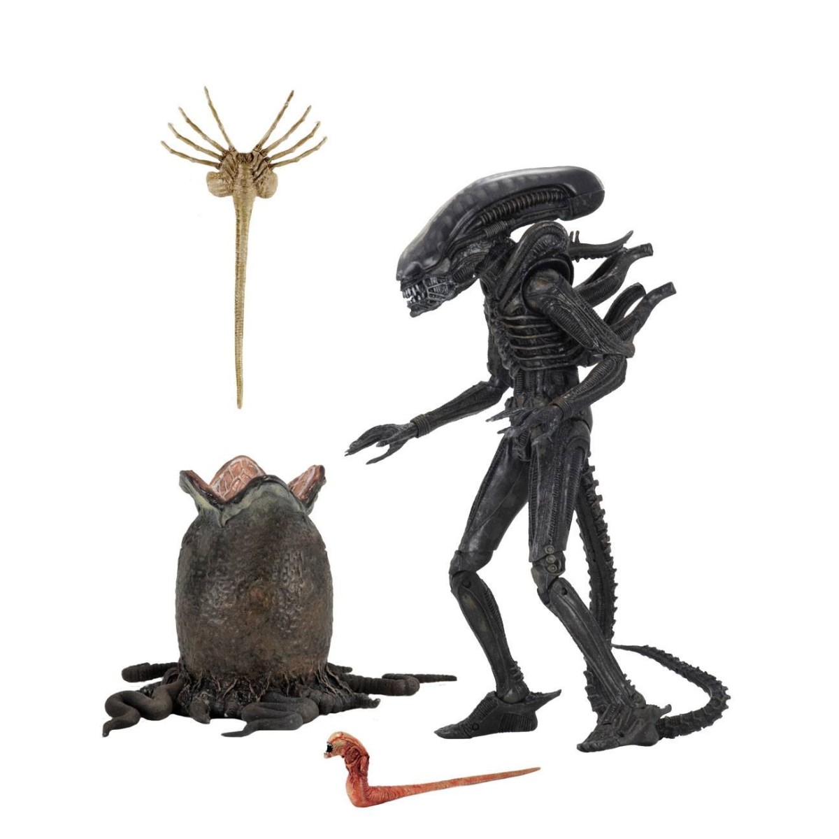 Neca Alien Serie 6 Isolation - Xenomorph