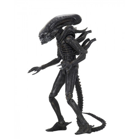 Neca Alien Serie 6 Isolation - Xenomorph