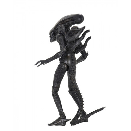Neca Alien Serie 6 Isolation - Xenomorph