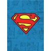 DC Comics - Batman Metal Magnet - Crime Fighter