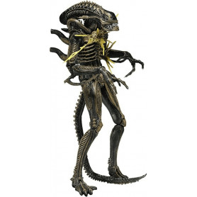 NECA ALIENS - Brown Xenomorph Warrior Battle Damaged Serie 12
