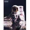 Blitzway - Astronaut Apollo 11: LM-5 A7L ver. 1/4 - Hybrid Superb Scale