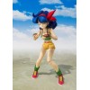 Bandai Tamashii - DRAGON BALL - Lunch - SHF SHFiguarts