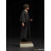 Iron Studios - Harry Potter at the School of Wizards BDS Art Scale 1/10