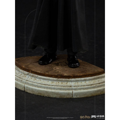 Iron Studios - Harry Potter at the School of Wizards BDS Art Scale 1/10