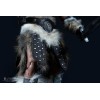 Pure Arts - Dragonborn Deluxe Edition - The Elder Scrolls V Skyrim figure 1/6