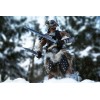 Pure Arts - Dragonborn Deluxe Edition - The Elder Scrolls V Skyrim figure 1/6