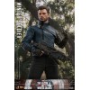 Hot Toys Marvel - Winter Soldier 1/6 - The Falcon and The Winter Soldier