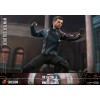 Hot Toys Marvel - Winter Soldier 1/6 - The Falcon and The Winter Soldier