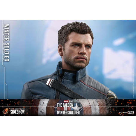 Hot Toys Marvel - Winter Soldier 1/6 - The Falcon and The Winter Soldier