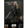Hot Toys Star Wars - Ahsoka Tano & Grogu- The mandalorian 1/6