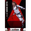Hot Toys Black Widow Snow Suit Movie Masterpiece Version 1/6