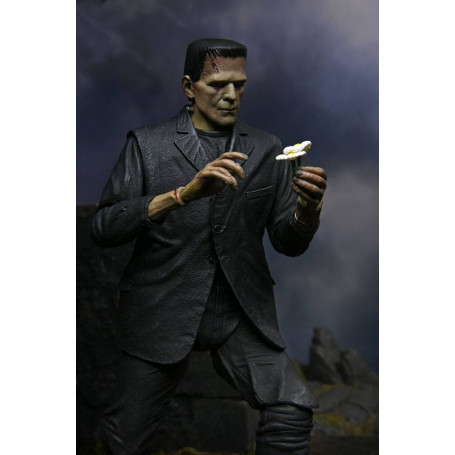 NECA - Ultimate Frankenstein's Monster Color Version - Universal Monsters