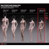 Phicen - TBLeague 1/6 Scale Female Super-Flexible Seamless Body - Small tan body with medium cups