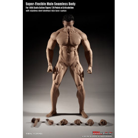 Phicen - TBLeague 1/6th Scale Super-Flexible Male Seamless Body - Tanned Body Strong Musculature 