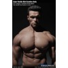 Phicen - TBLeague 1/6th Scale Super-Flexible Male Seamless Body - Very Tanned Body