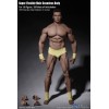 Phicen - TBLeague 1/6th Scale Super-Flexible Male Seamless Body - Very Tanned Body