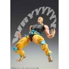 Medicos - Super Action Chozokado - DIO BRANDO AWAKENING - Jojo's Bizarre Adventures Stardust Crusader - 16cm