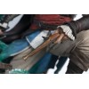 Pure Arts - Edward Kenway 1/4 Animus - Assassin's Creed statuette