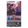 Hasbro Marvel Legends - T'CHALLA STAR-LORD - What If...?
