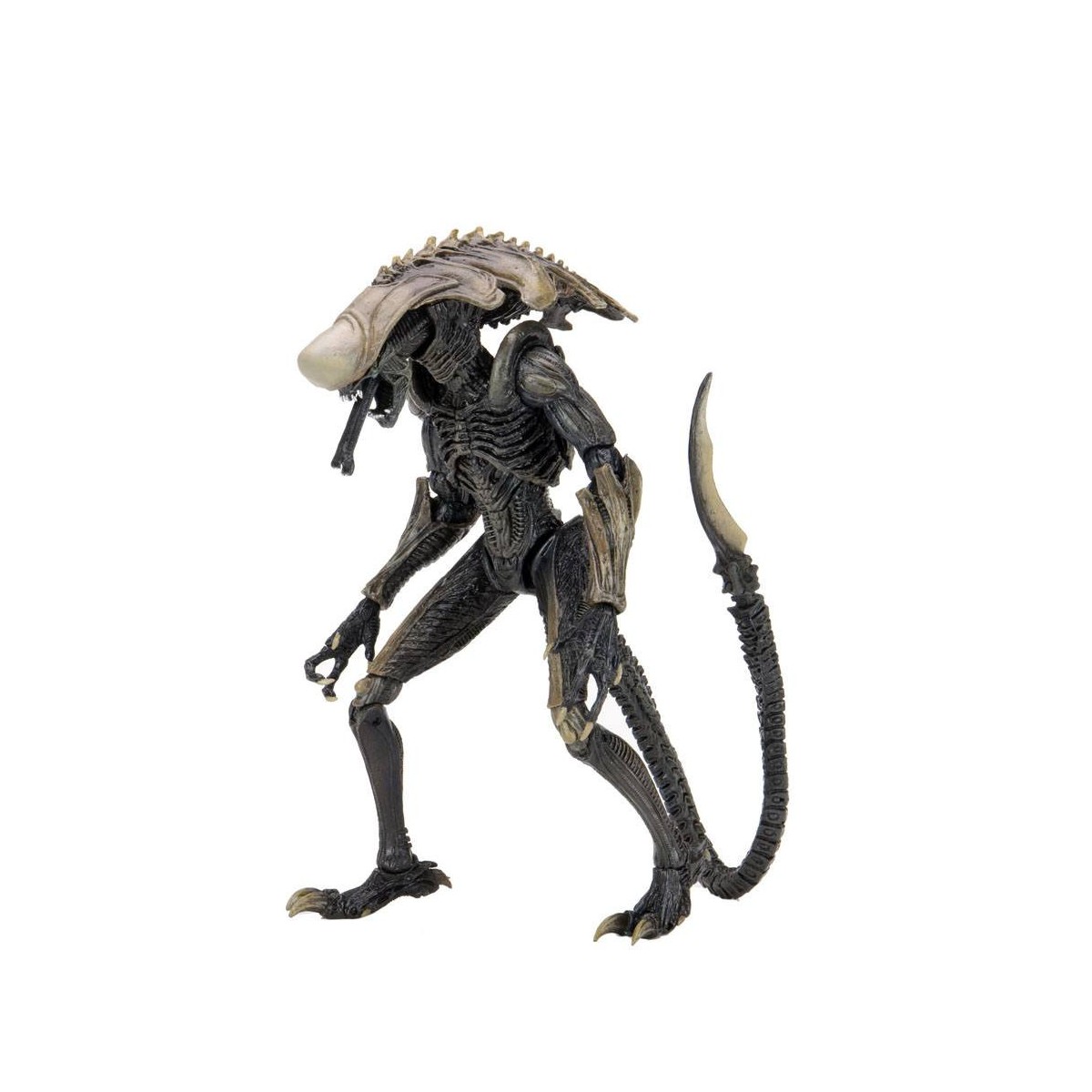 Neca Alien vs Predator - Alien Realistic Appearance - Complete set of 3 figures