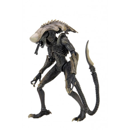Neca Alien vs Predator - Alien Realistic Appearance - Complete set of 3 figures