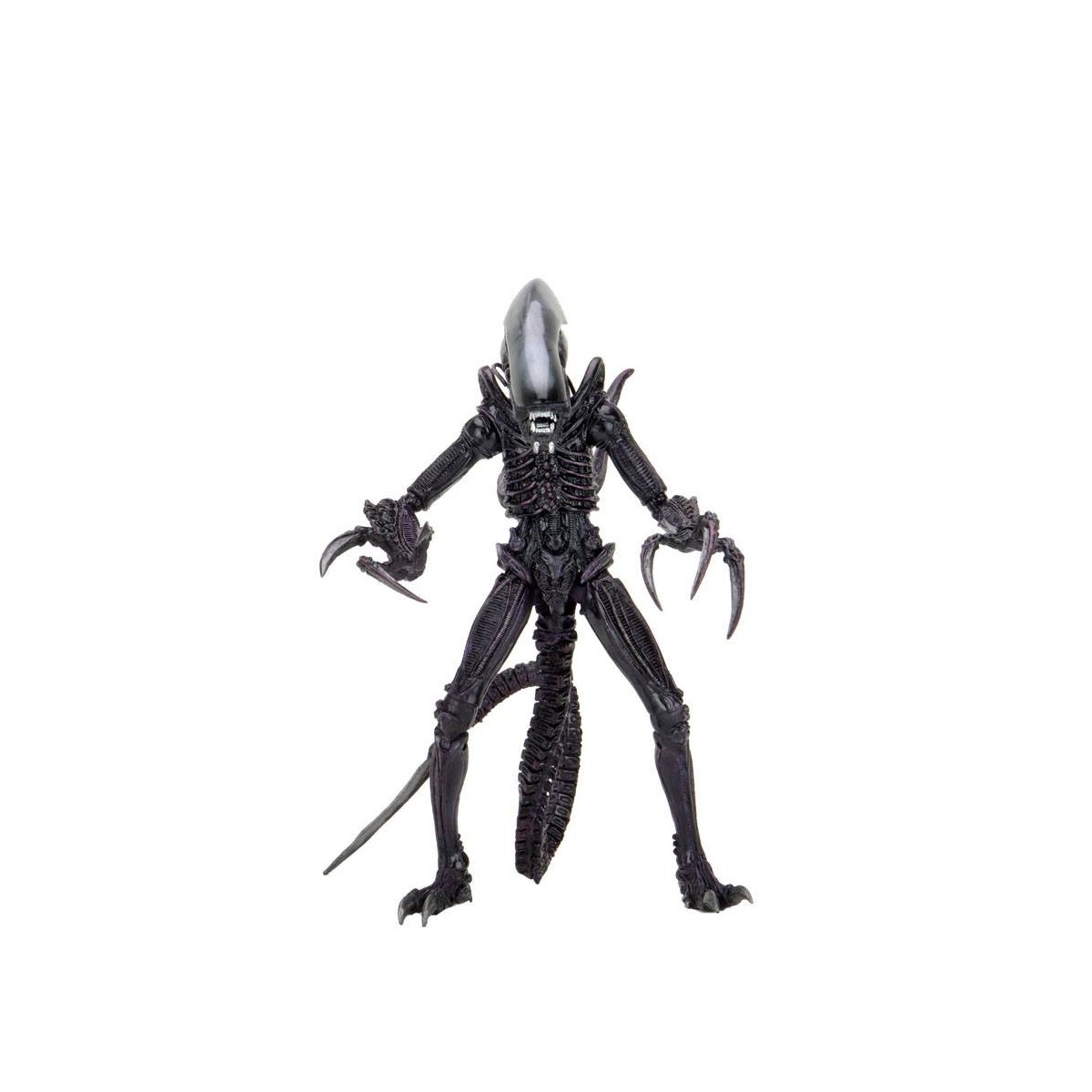 Neca Alien vs Predator - Alien Realistic Appearance - Complete set of 3 figures