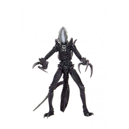 Neca Alien vs Predator - Alien Realistic Appearance - Complete set of 3 figures