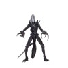 Neca Alien vs Predator - Alien Realistic Appearance - Complete set of 3 figures