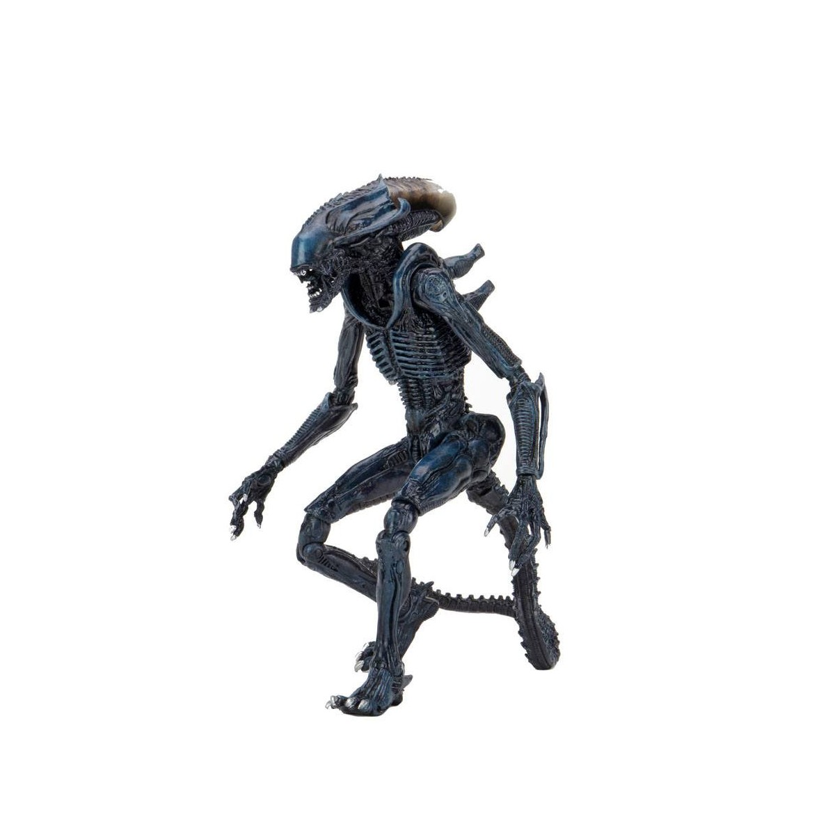 Neca Alien vs Predator - Alien Realistic Appearance - Complete set of 3 figures