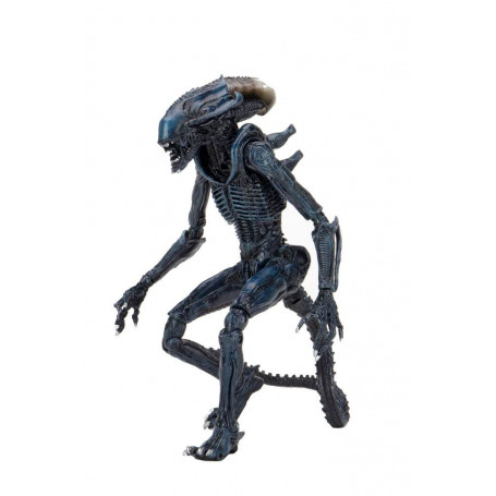 Neca Alien vs Predator - Alien Realistic Appearance - Complete set of 3 figures