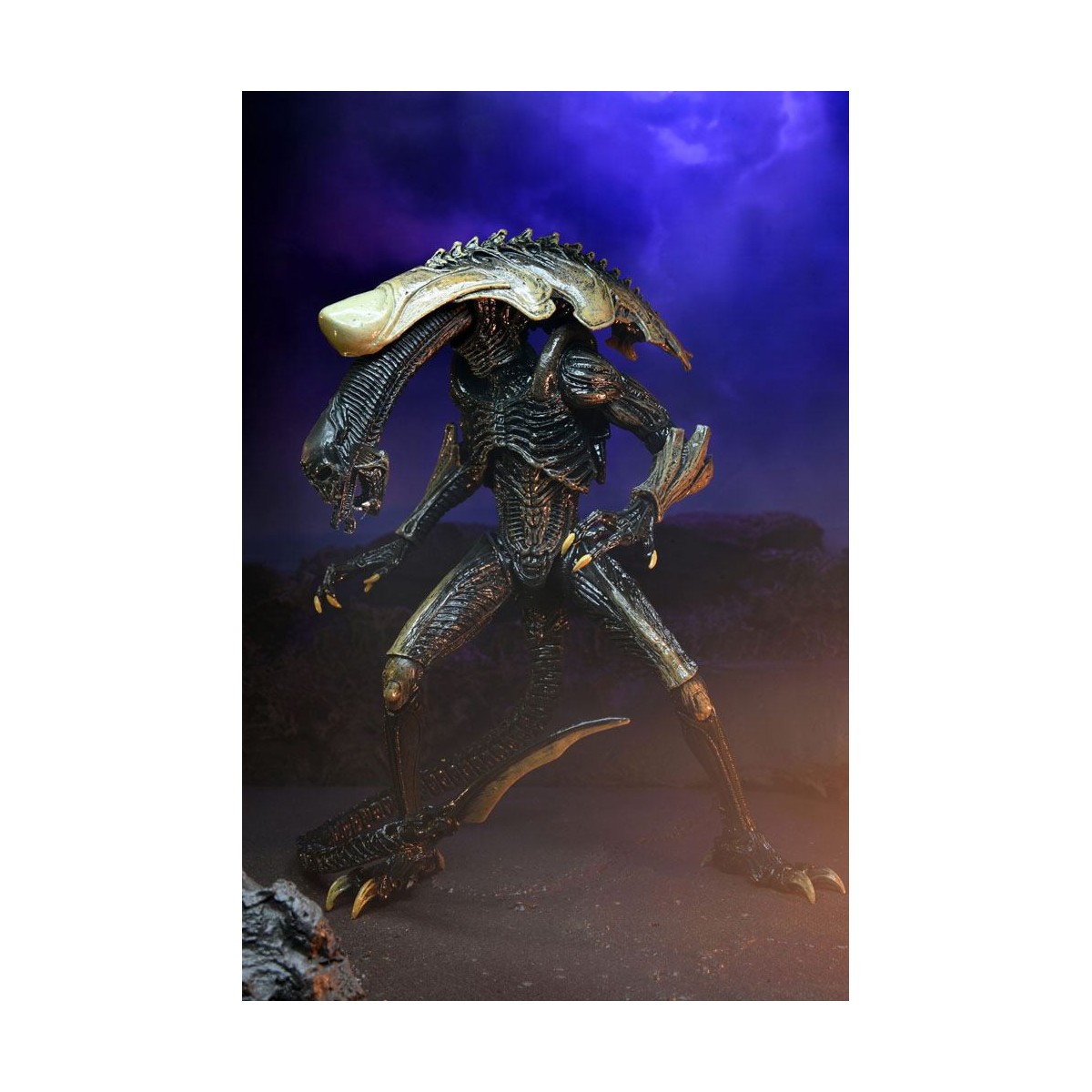 Neca Alien vs Predator - Alien Realistic Appearance - Complete set of 3 figures