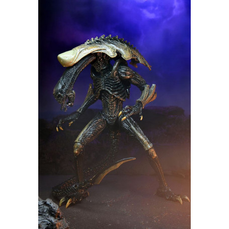 Neca Alien vs Predator - Alien Realistic Appearance - Complete set of 3 figures