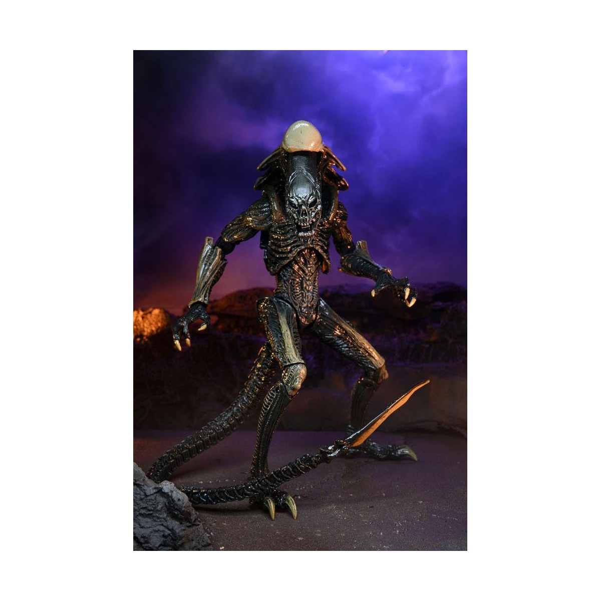 Neca Alien vs Predator - Alien Realistic Appearance - Complete set of 3 figures