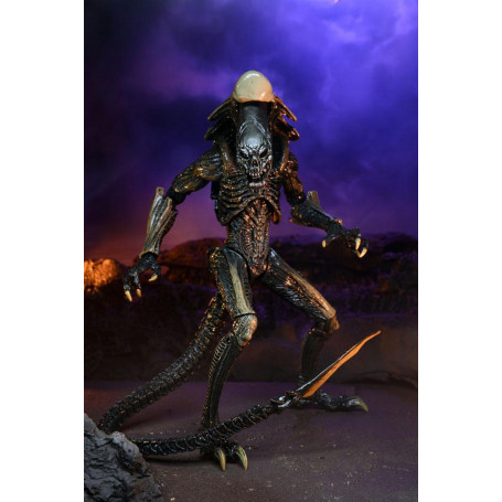 Neca Alien vs Predator - Alien Realistic Appearance - Complete set of 3 figures