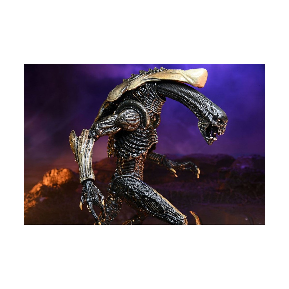 Neca Alien vs Predator - Alien Realistic Appearance - Complete set of 3 figures