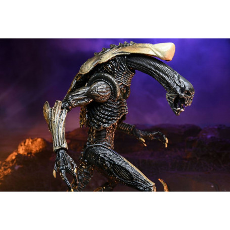 Neca Alien vs Predator - Alien Realistic Appearance - Complete set of 3 figures