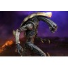 Neca Alien vs Predator - Alien Realistic Appearance - Complete set of 3 figures
