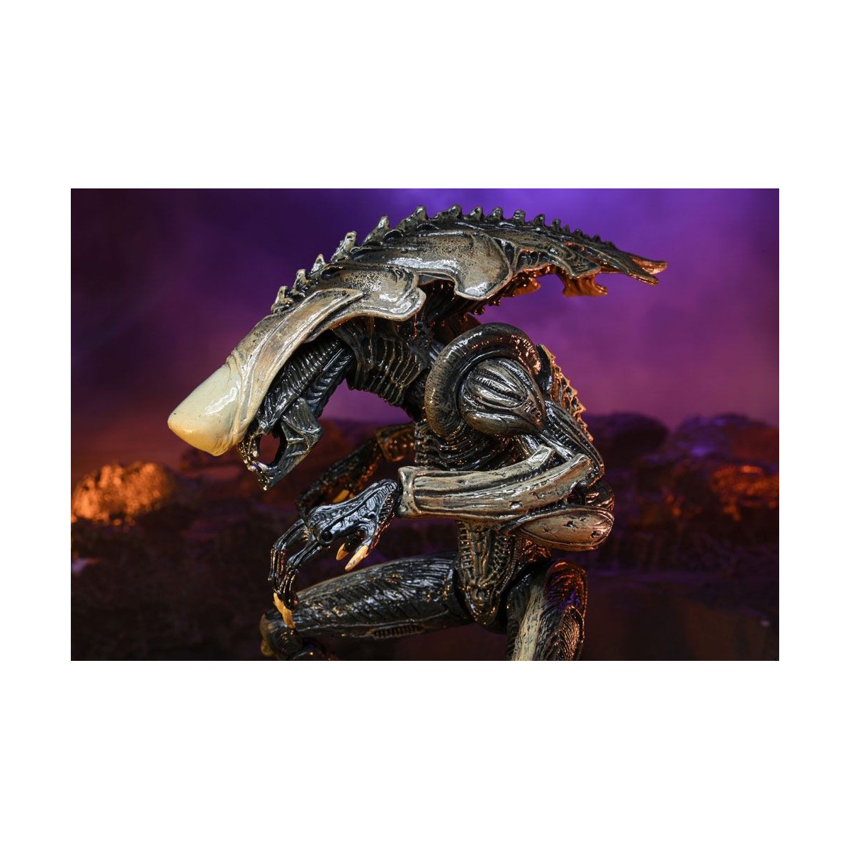 Neca Alien vs Predator - Alien Realistic Appearance - Complete set of 3 figures